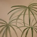 Qn